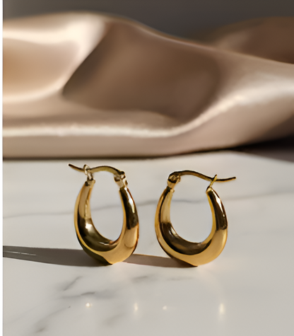Ankaha Gold Plated Chunky Hoop Earrings