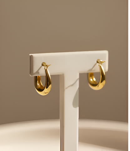 Ankaha Gold Plated Chunky Hoop Earrings